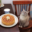 palabrasqueseesconden avatar