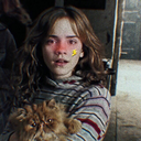 palaceofmy-blog avatar