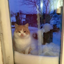 palaeotriakis avatar