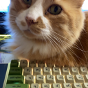 palamedes-hect avatar