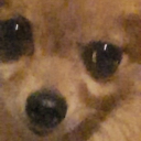 palebarbariantraveler avatar