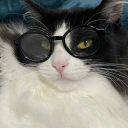 paleblueyes-7 avatar