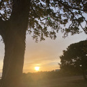 paleeprincesss avatar