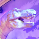 paleo-librarian avatar