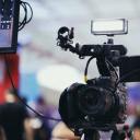 palepinkelephant avatar