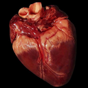 paleredsky-blog avatar