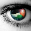 palestine-forever avatar