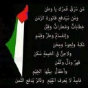 palestinians-world avatar