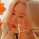 palettesource avatar