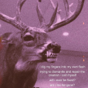 pallor-parlor avatar