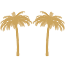 palm2palmlife avatar