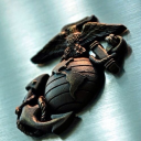 palmbcfinest-blog avatar