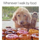 palmettosky89 avatar