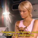 palmstreesallday avatar