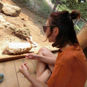 palmtoptijger avatar