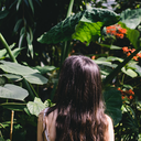 palomachamero avatar