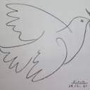 palomasinchicago avatar