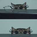 pamplemousse0101 avatar