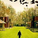 pamplemousseoui avatar