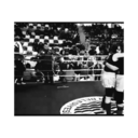 pamuktaanbuluut avatar