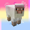 pan-wool-block avatar