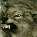 panahi-ali-1375-blog avatar