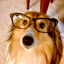 pancakeocelot avatar