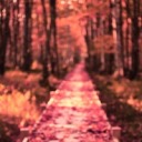 pancakeproductions avatar