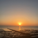 pancakesandpigs avatar