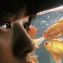 pancakesaredelicous avatar