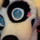 panda--senpai avatar