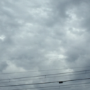 panda-1939-blog avatar