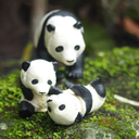 panda-eat-bamboo avatar