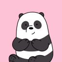 panda-forever-blog1 avatar