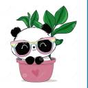 pandaaanerd avatar