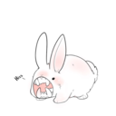 pandabear0000 avatar