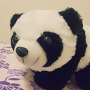 pandacatxd avatar