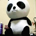 pandagirl360 avatar