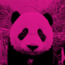 pandahandler avatar