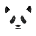 pandamania avatar