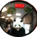 pandamans avatar