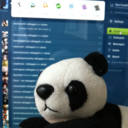 pandaphoto-blog avatar