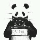 pandasensivel avatar