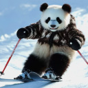 pandaswanderschaft avatar