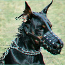 pandemoni-ohm avatar