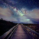 pandemonium-22 avatar