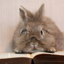 pandoraistheloml avatar