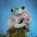 pandoras-lunchbox avatar