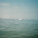 pangaea-oceania avatar