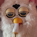 pangea-apologist avatar